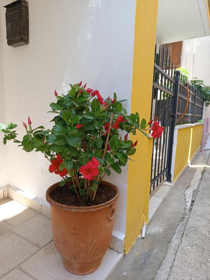 Stefanos Family Apartment Lefkáda Exterior foto